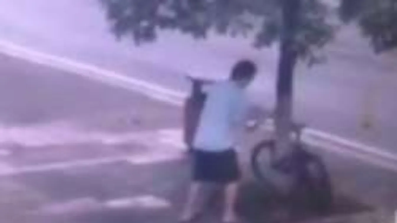 Íme, a világ legkitartóbb tolvaja!