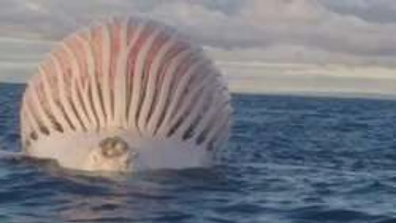 Hátborzongató lény lebegett a vízen, sokkot kaptak a halászok! - Fotók