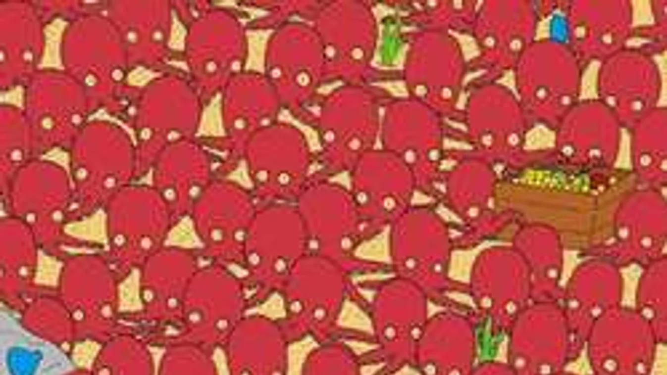 Jobb vagy mint az emberek 80%-a? Találd meg a halat egy perc alatt!