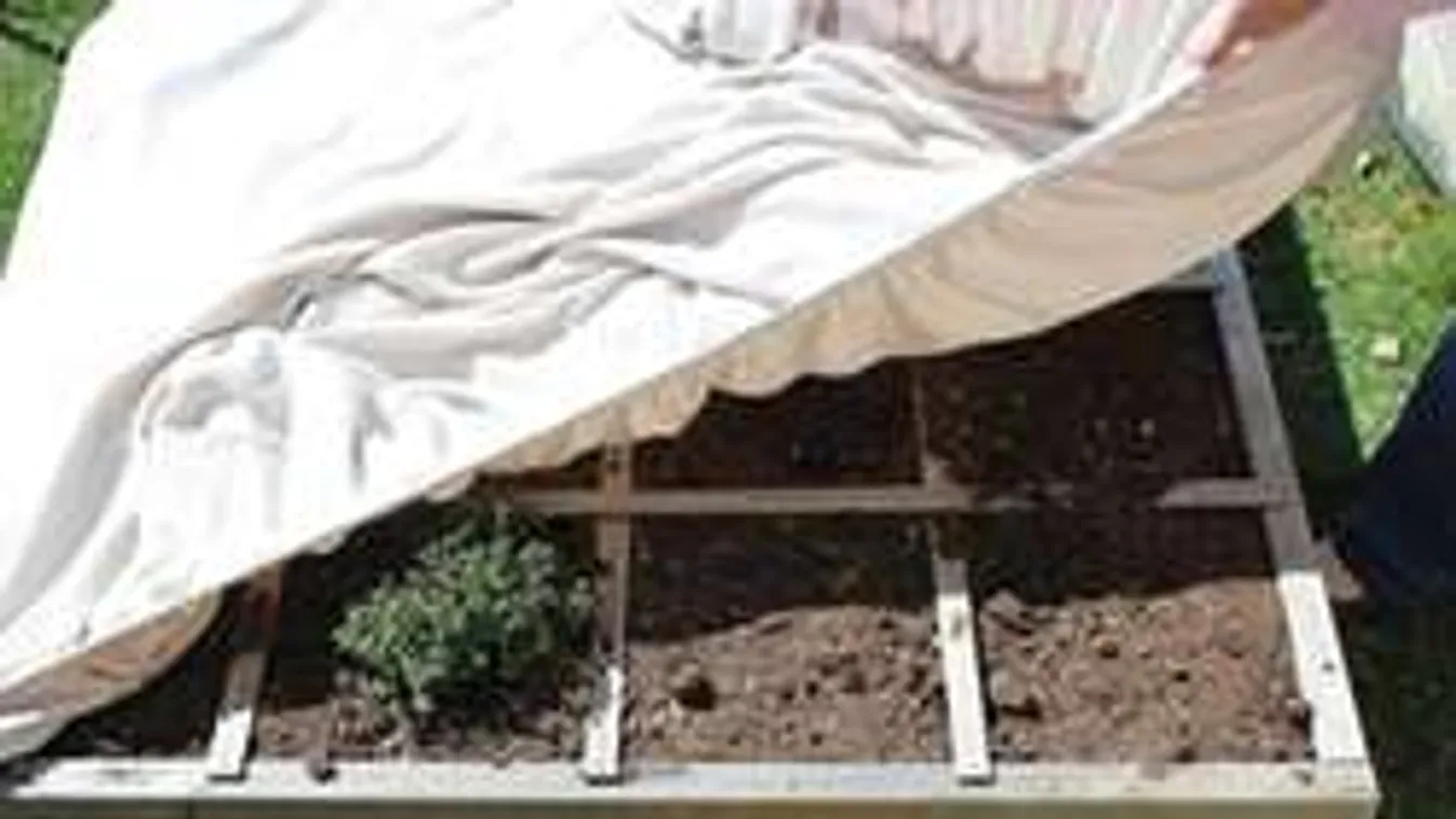 Zseniális: ezért ne dobd ki soha a régi, megkopott lepedődet