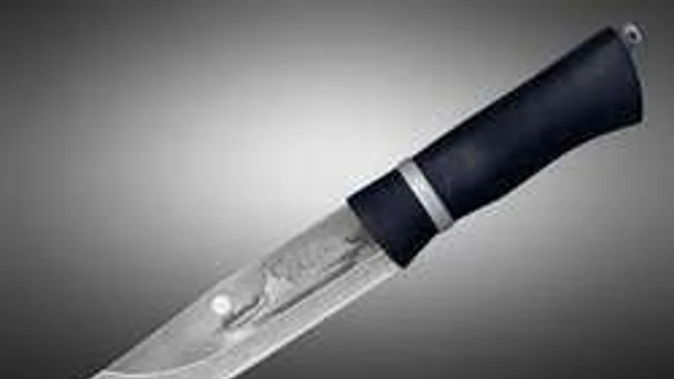 Véres dráma Budakalászon: késsel kaszabolt a dühödt férfi