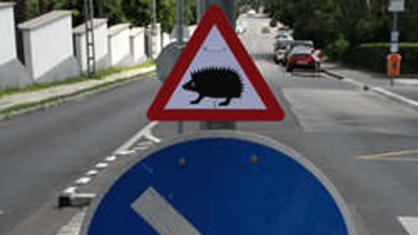 Itt az igazi KRESZ-teszt: tudod, mit jelent ez a közlekedési tábla?