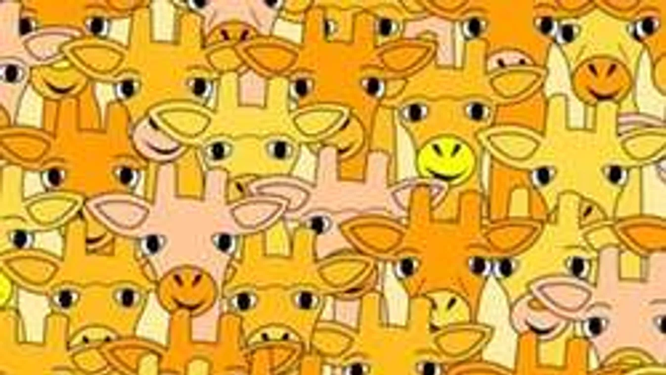 Íme a hét rejtvénye: Te megtalálod, amit az emberek többsége nem?