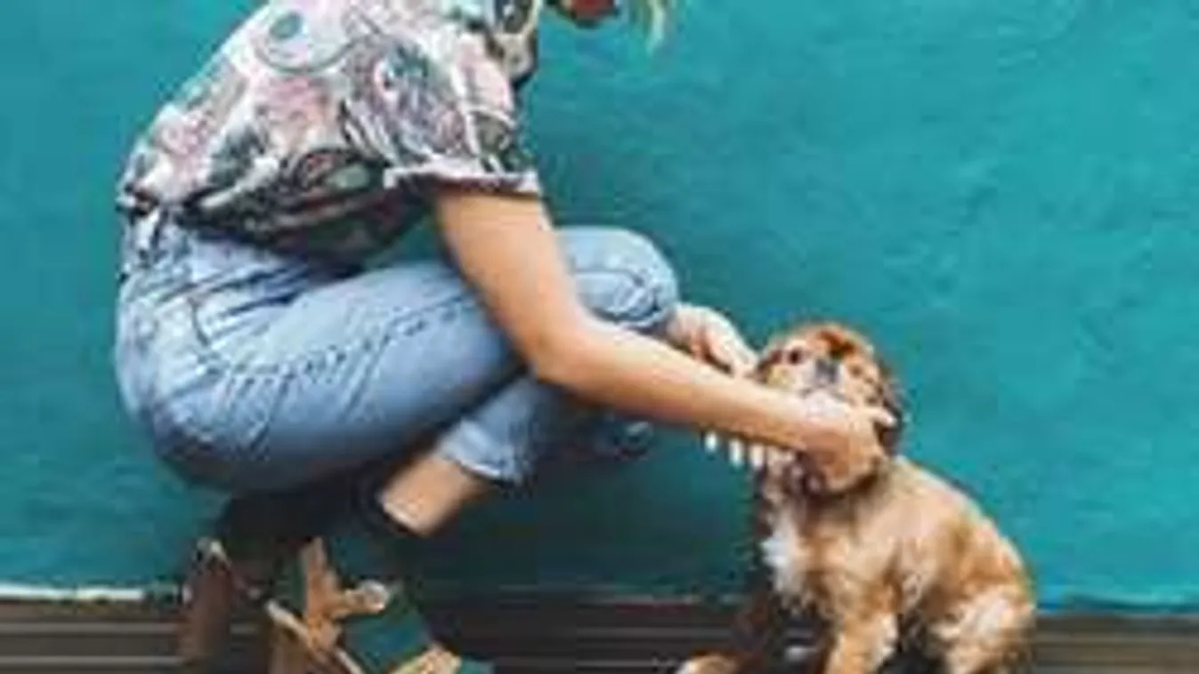 Megint kiveri a biztosítékot az őszi divat! Neked hogy tetszik?