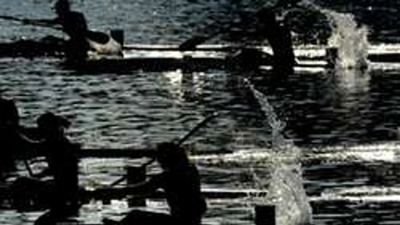 Találd ki, mi lett a molesztálással vádolt magyar kajakedzővel!