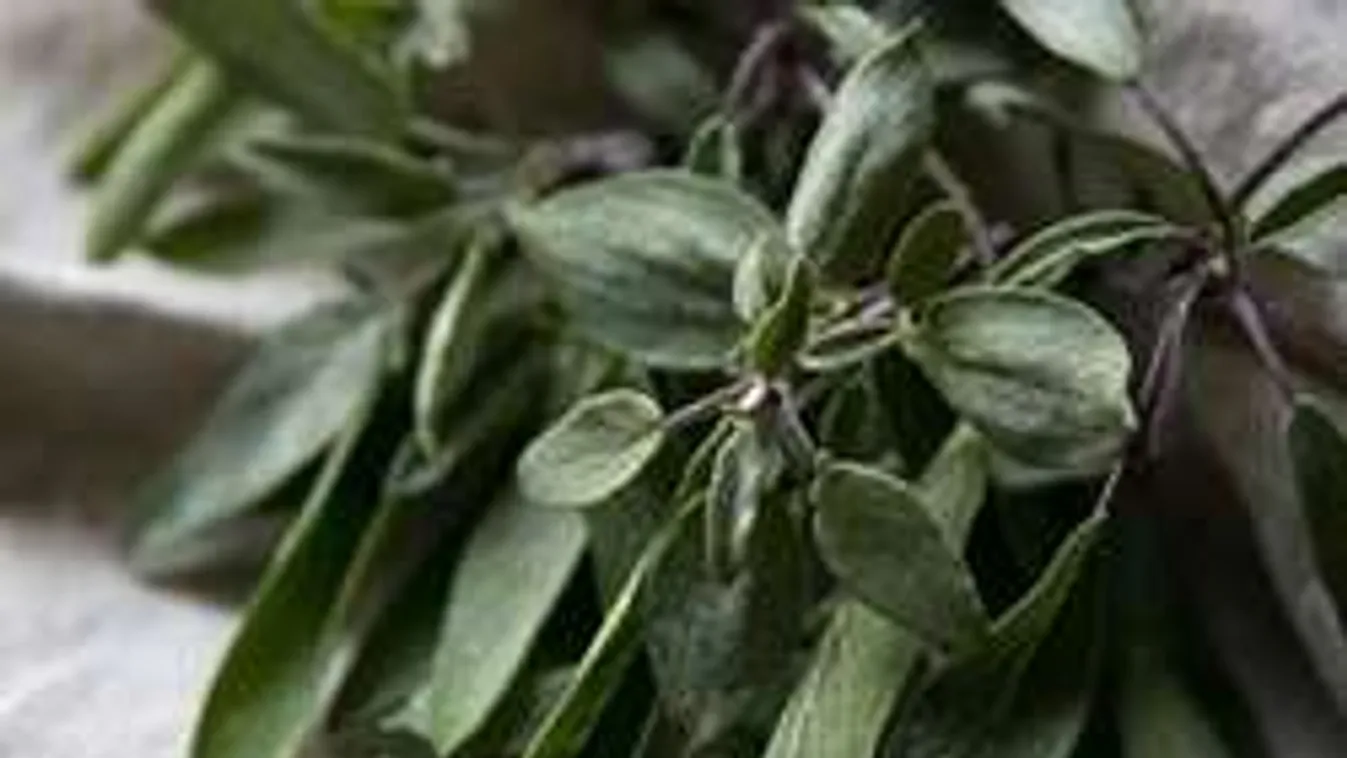 Elfáradtál, kimerültél? Irány a konyha, pörgesd fel az agyad!