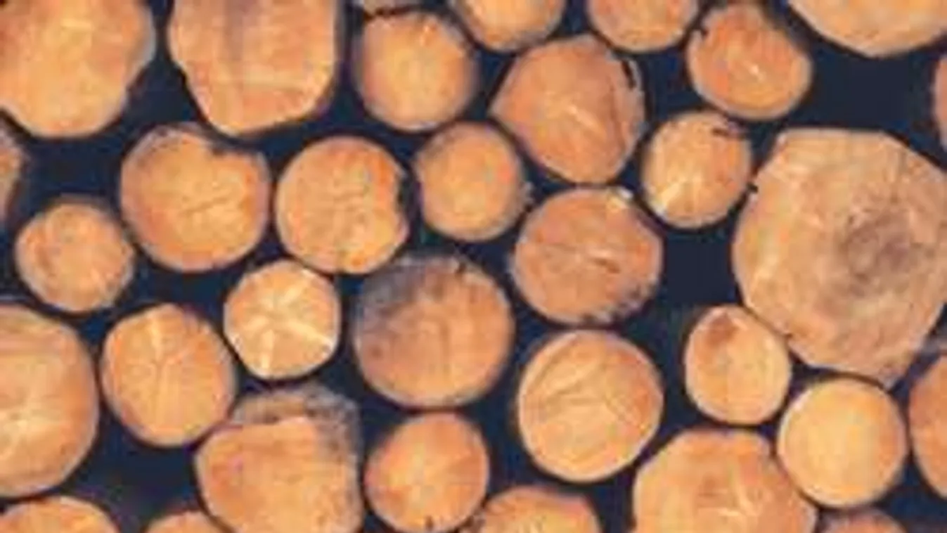 Máris akkora hiány van tüzelőből, hogy egy hónapot kell várni rá!