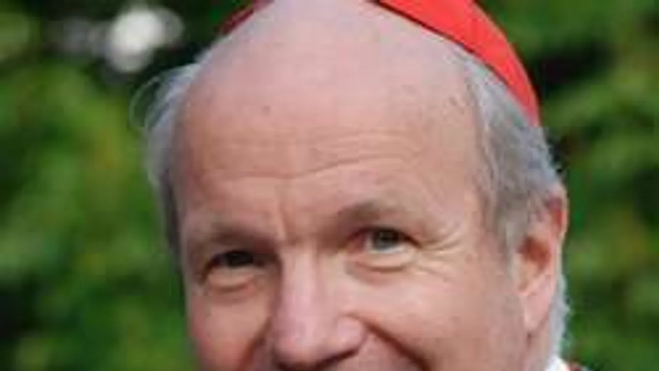 Schönborn bíboros: sok muszlim szeretné leigázni Európát