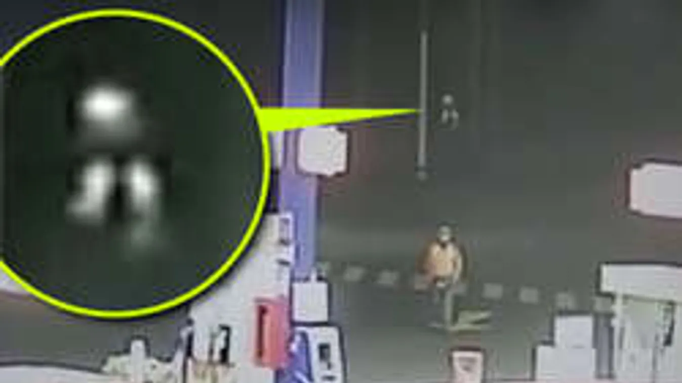Bizarr lényt üldöztek az éjjeliőrök - senki sem tudta, mi lehetett