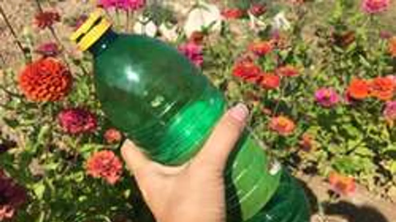 Ez a 7 csoda történik, ha ecetet használsz a kertedben