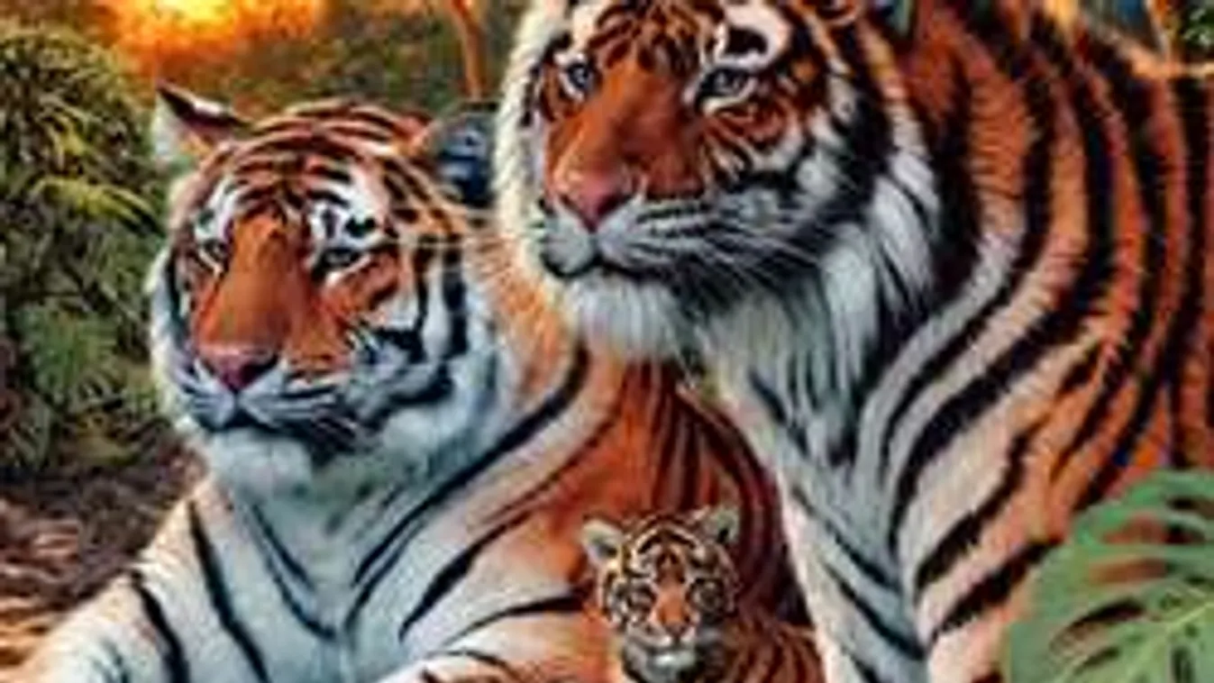 Képrejtvény: száz emberből egy tudja a megoldást!