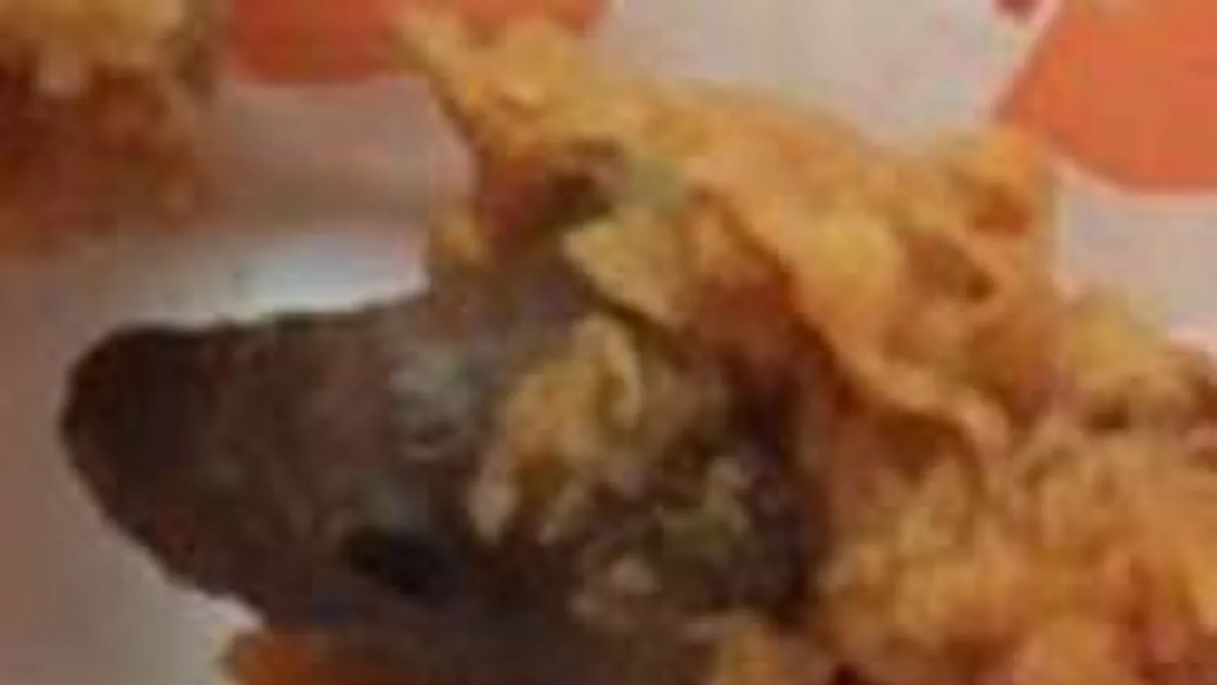 Rántott patkányt kapott csirke helyett