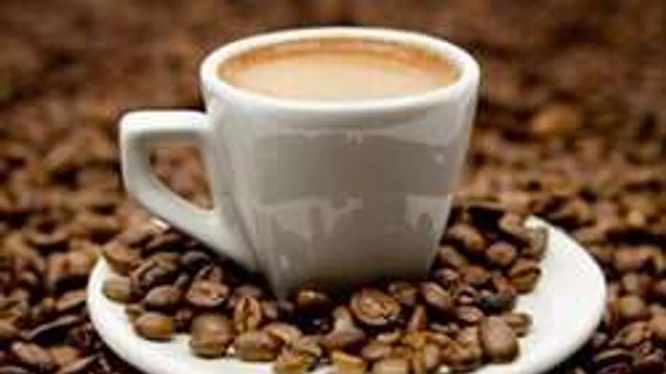 Ez a kávé 18 órán át ébren tart!