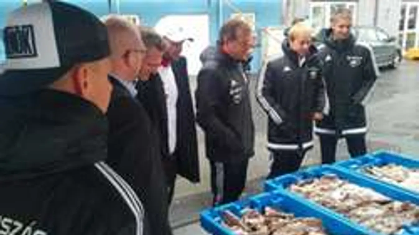 Borzasztó körülmények, sarkvidéki időben a magyarok