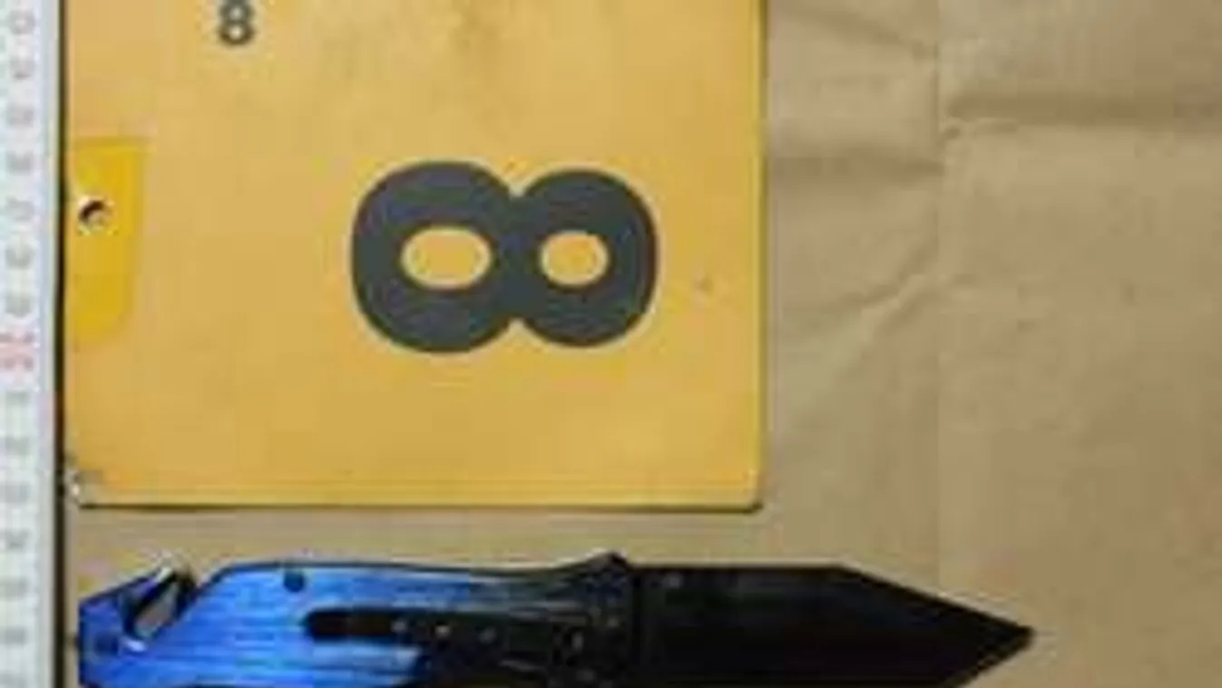 Házi őrizetbe került az érdi kettős gyilkossági kísérlet gyanúsítottja