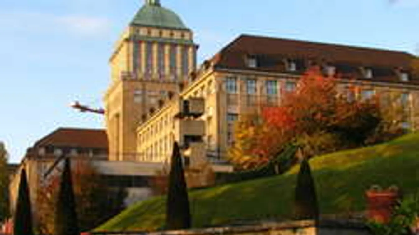 Albert Einstein egyeteme elképesztő felfedezést tett migránsügyben