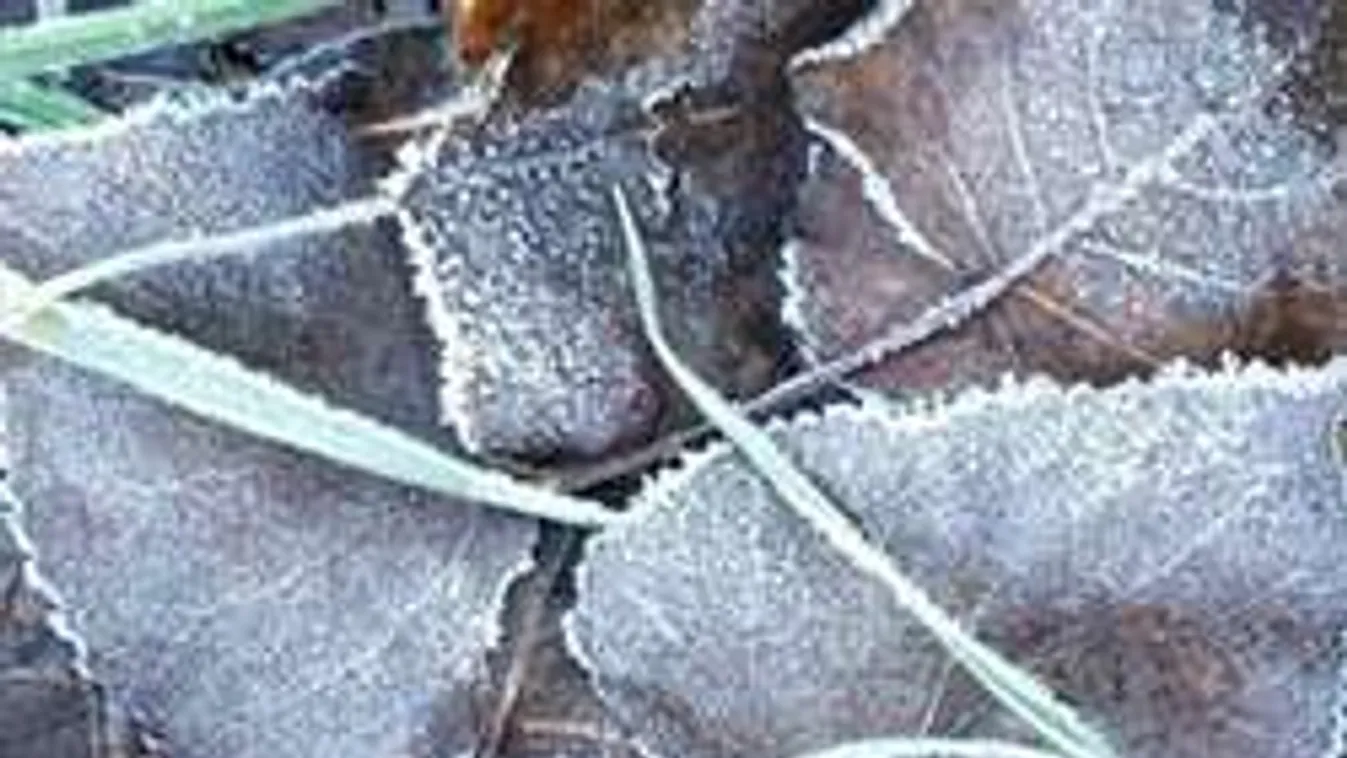 Már ma lecsap ránk a kegyetlen időjárás!