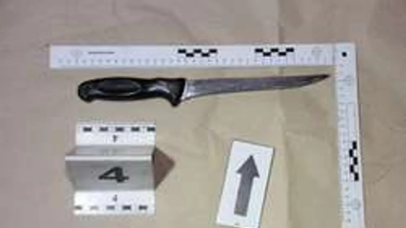 Tatabányai késelés: Összeveszett szerelmével, ezért hasba szúrta