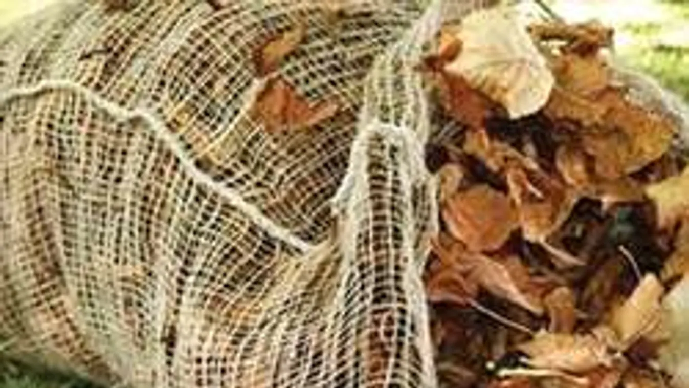 Avart égetsz a kertedben? Vigyázz, százezres bírság jöhet