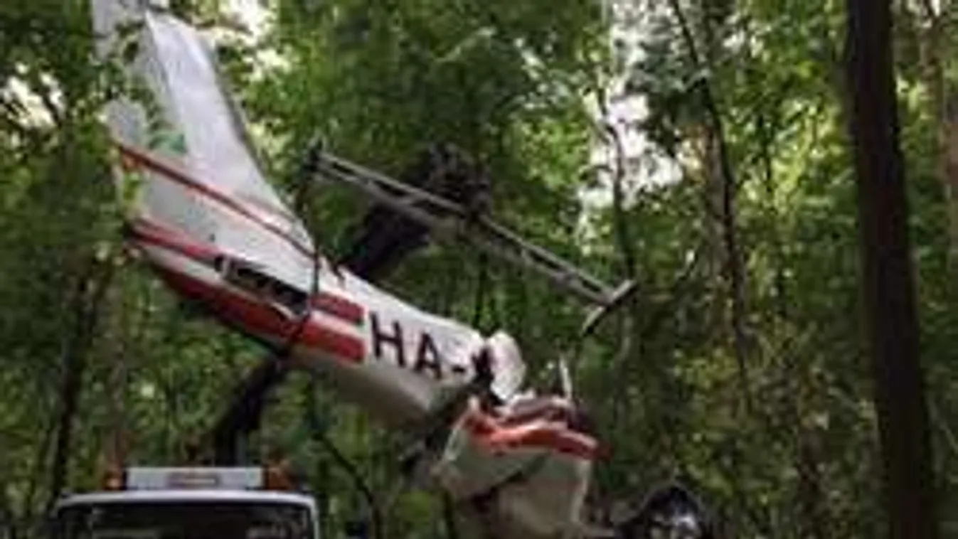 Õk a gödöllői repülőgép-tragédia áldozatai!