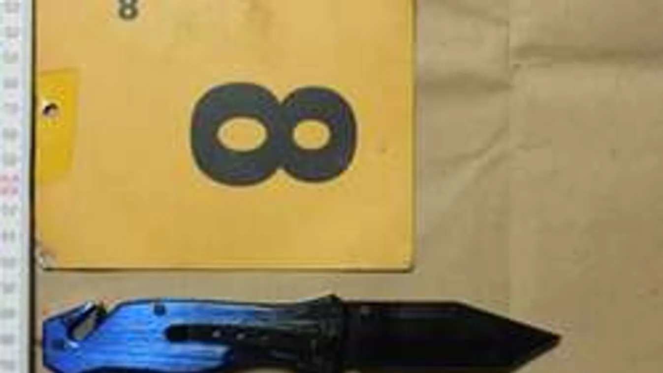 Hihetetlen döntés! Kétszer akart gyilkolni, mégsem küldték rács mögé!