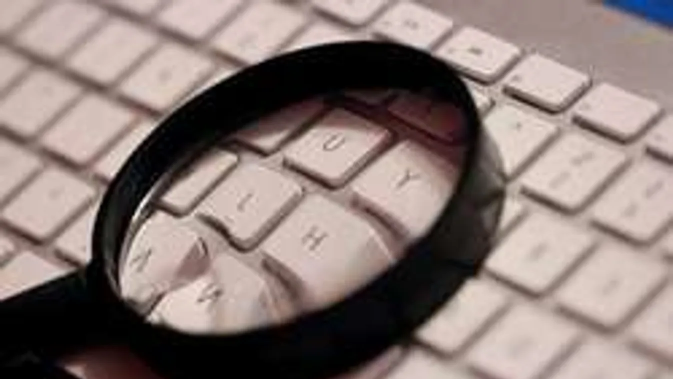 Õrült képrejtvény: meglátod az állatokat a fotókon?