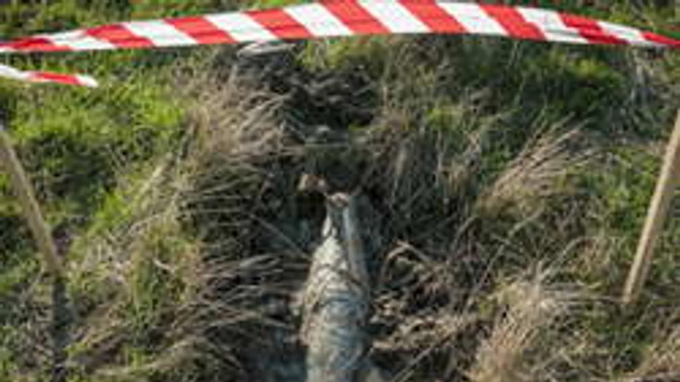 Külföldre menekült a fájdalmak elől a tűzszerész özvegye