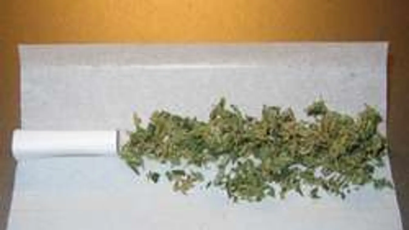 Lebukott: az állam pénzén csempészte a drogot a migráns