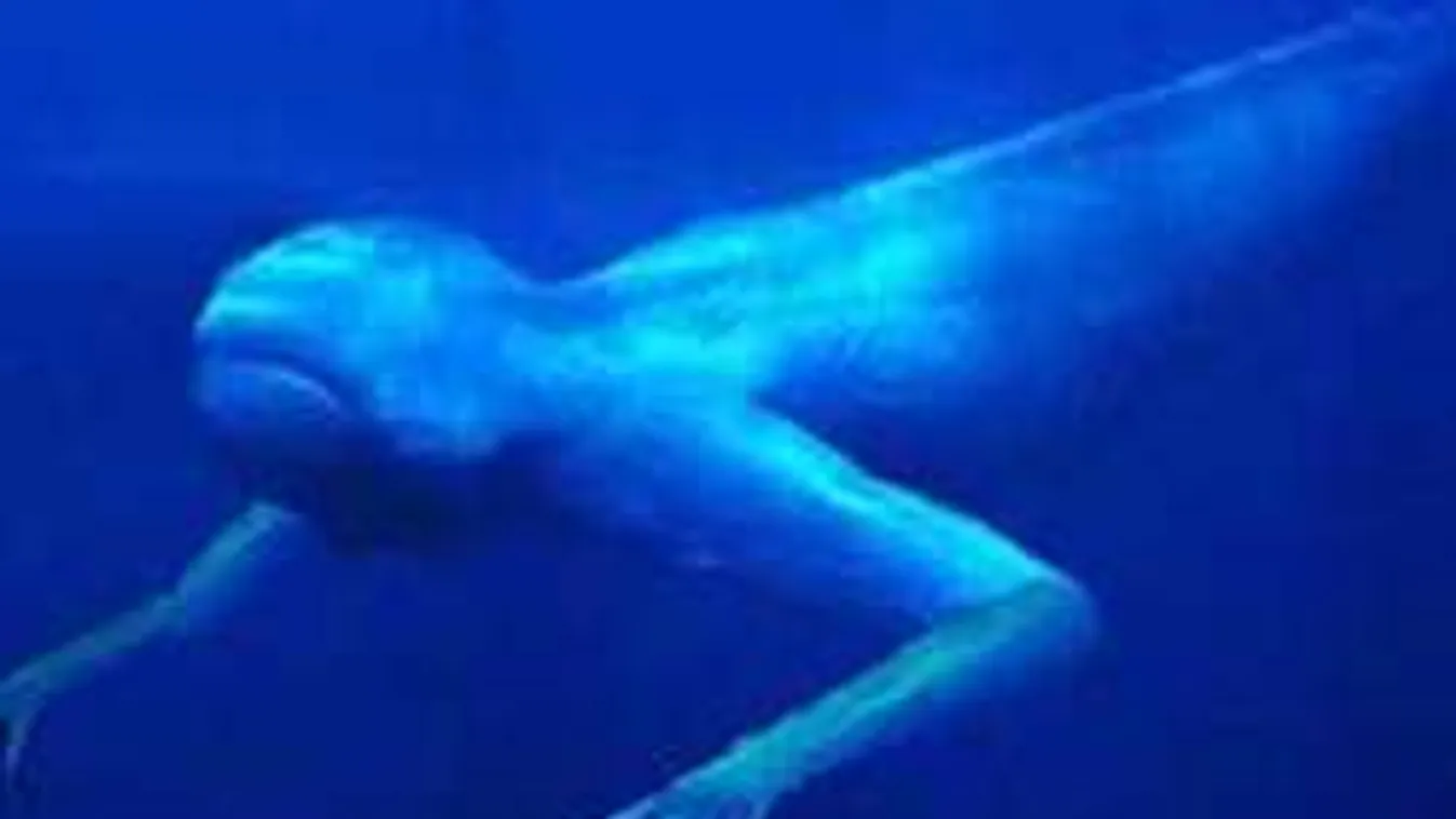 Sokkot kapott a természetfotós, amikor visszanézte saját képeit...