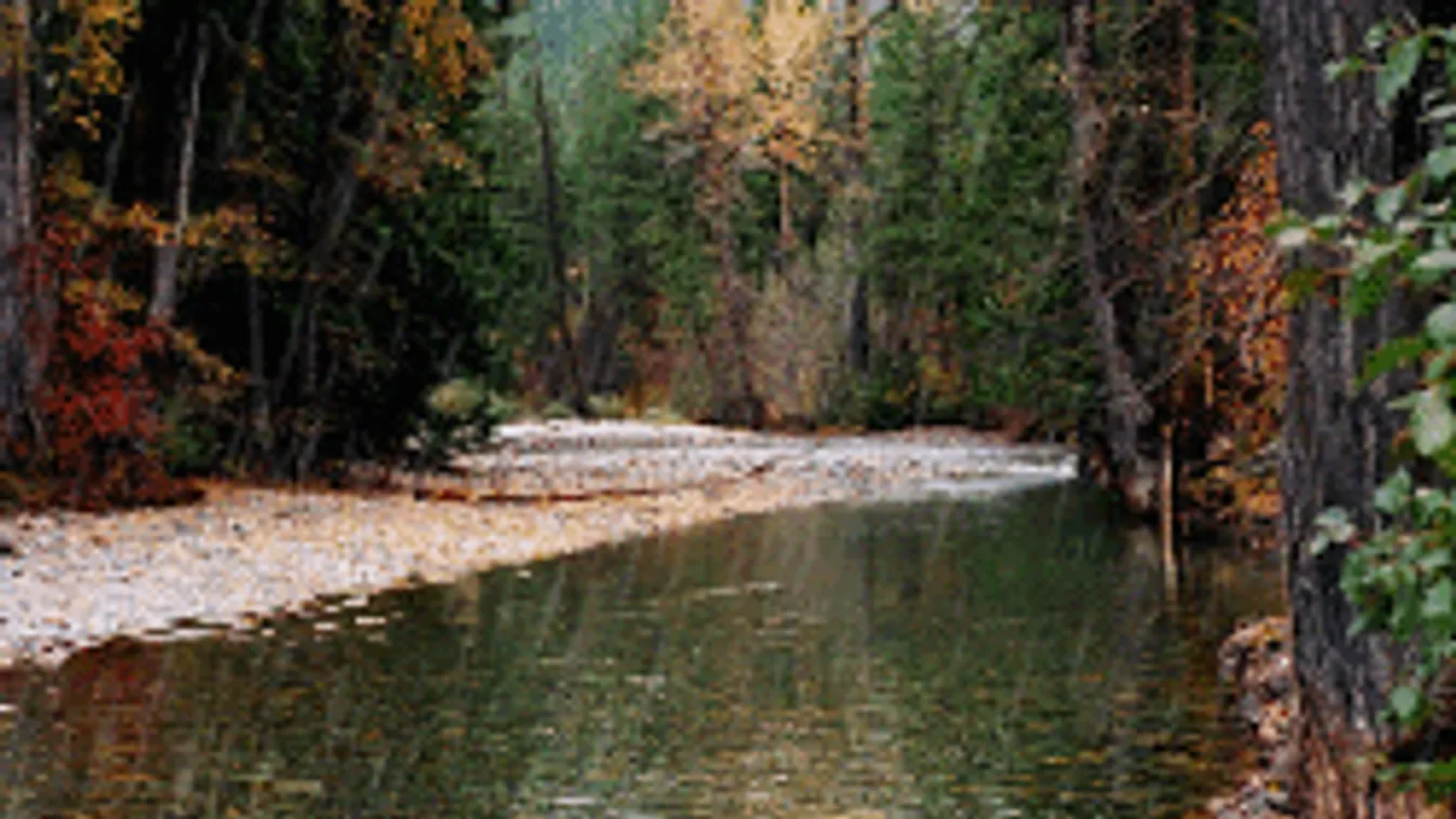 Durva eső érkezik!