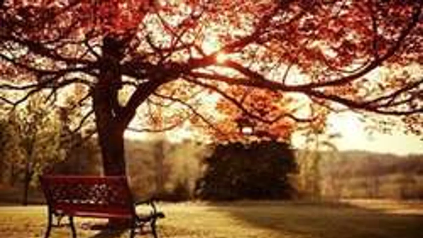 Kiderült, mikor fog beköszönteni az ősz! Meglepődtek az időjósok