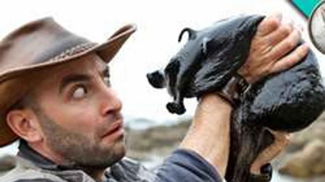 Micsoda? Ötkilós csigaszörny tekeredett a kezére!