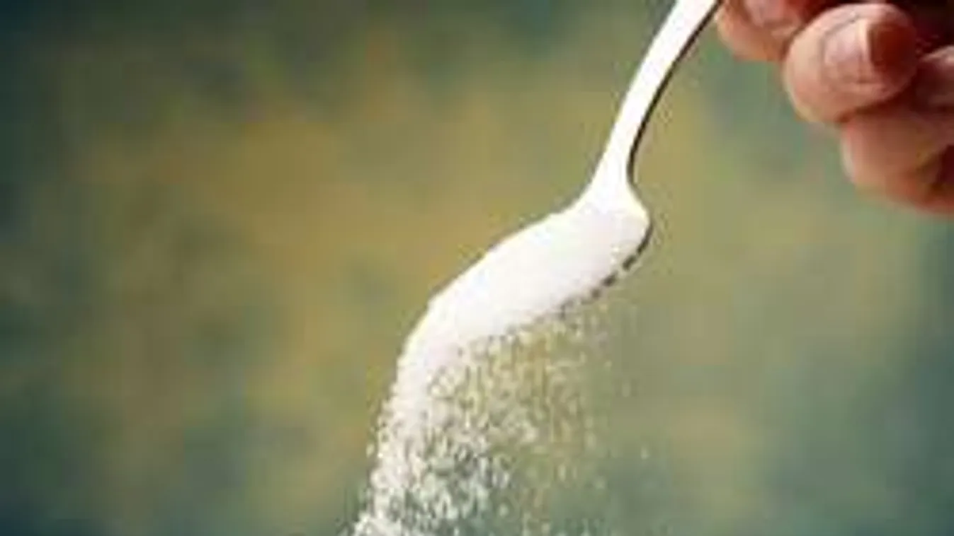 Így fizette le a cukoripar a Harvard kutatóit!