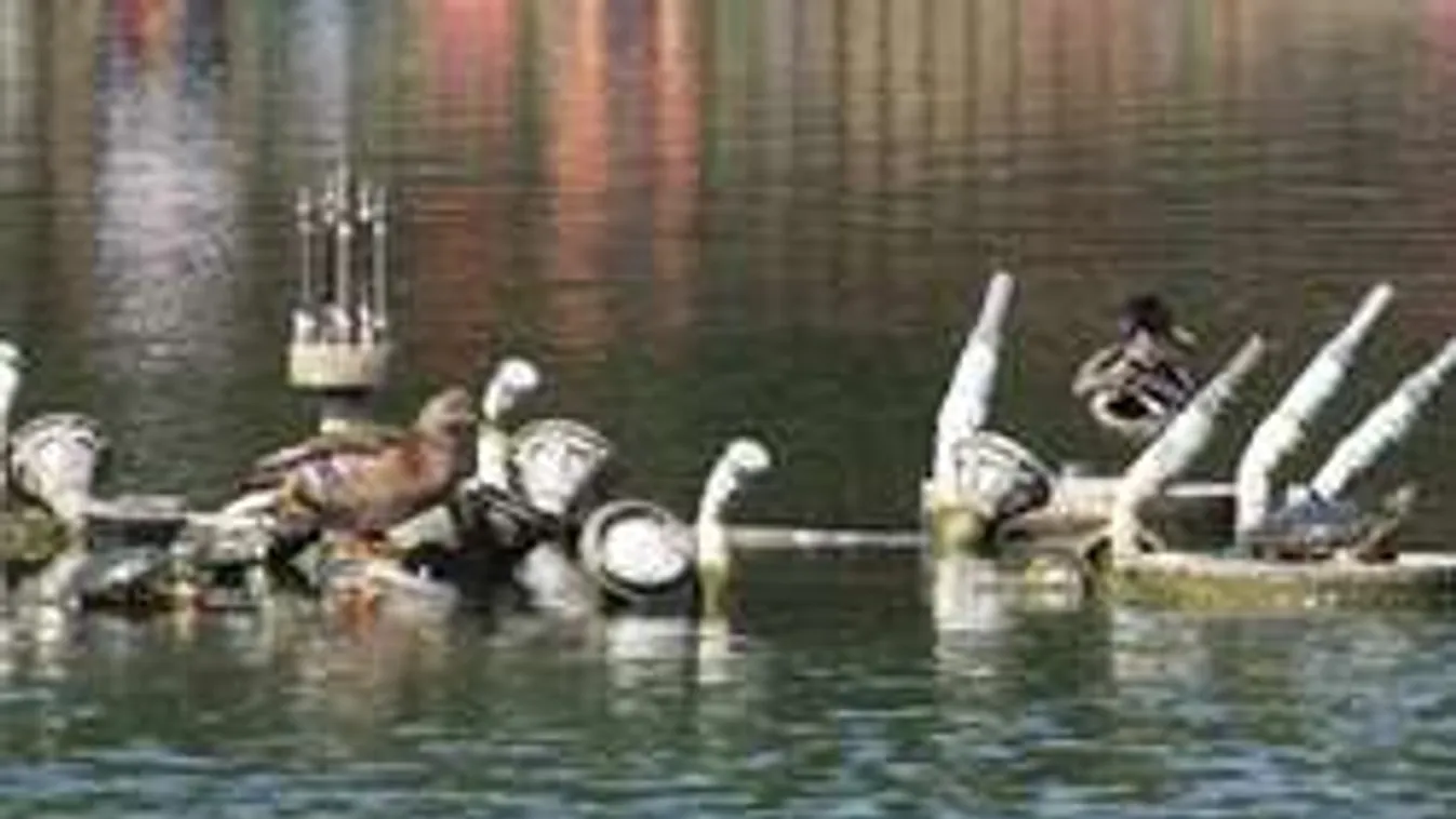 Így intézik el a magyar teknősök rémét