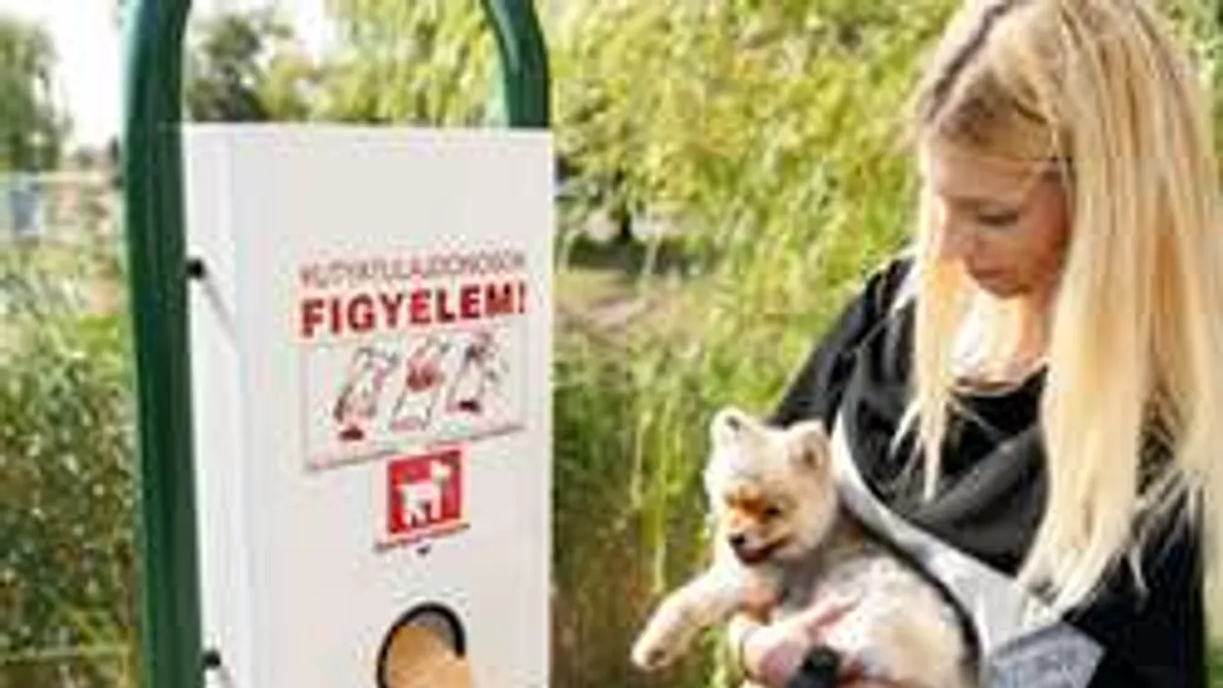 A zöldbab miatt nincs elég kutyaürülék-zacskó!