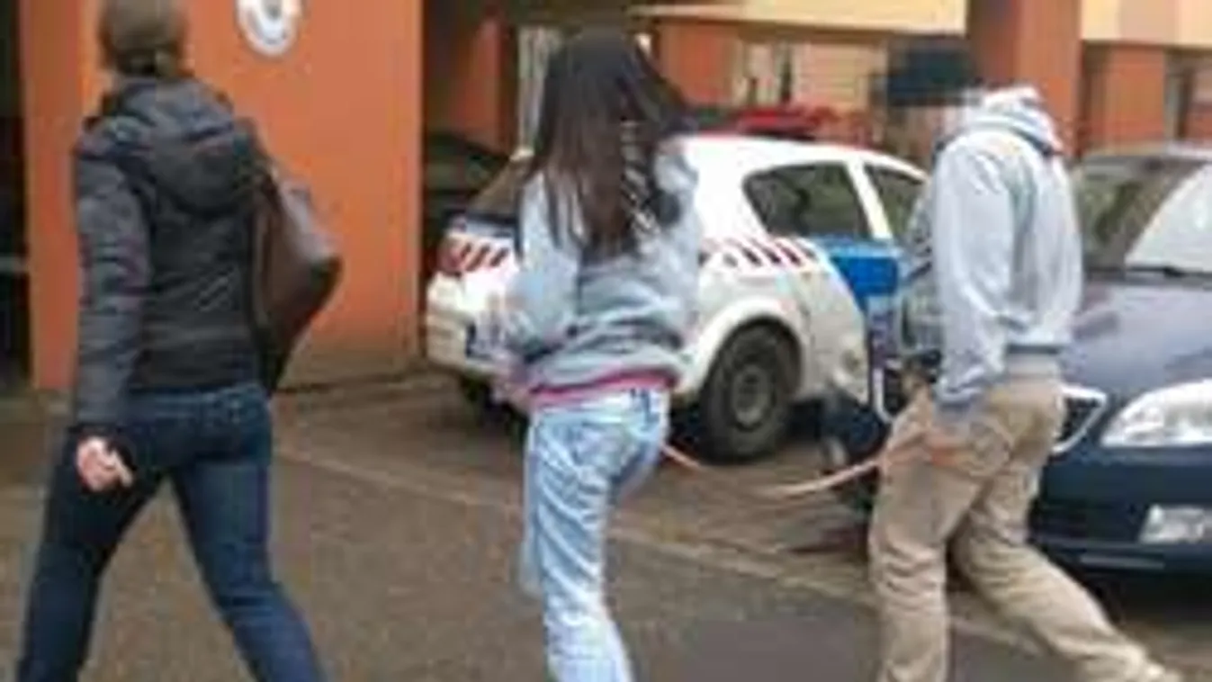 Döntött a bíróság a zagyvarékasi anyagyilkos tini sorsáról!