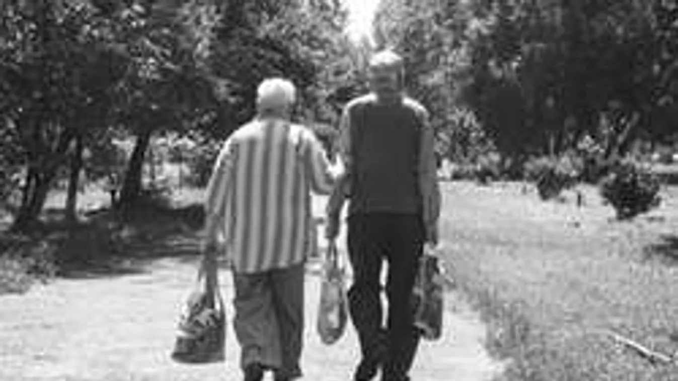 Gerinctelen csaló: beborítékoltatta a nagyszülőkkel az ékszereket!