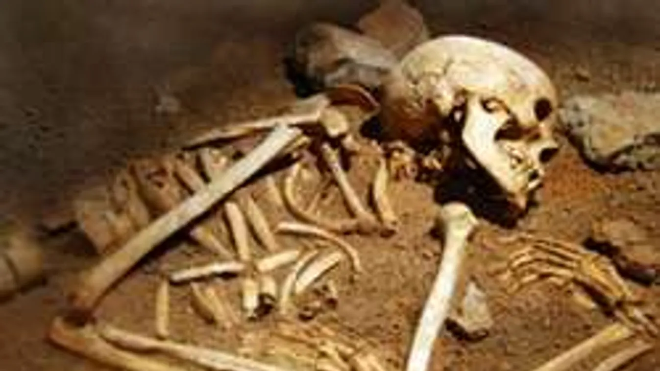 Emberi maradványokat találtak a sztárséf hamarosan nyíló éttermében!