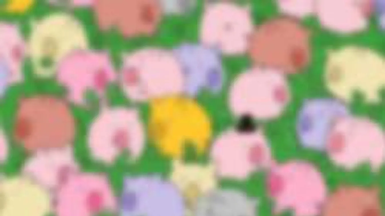 Megtalálod a négylevelű lóherét?