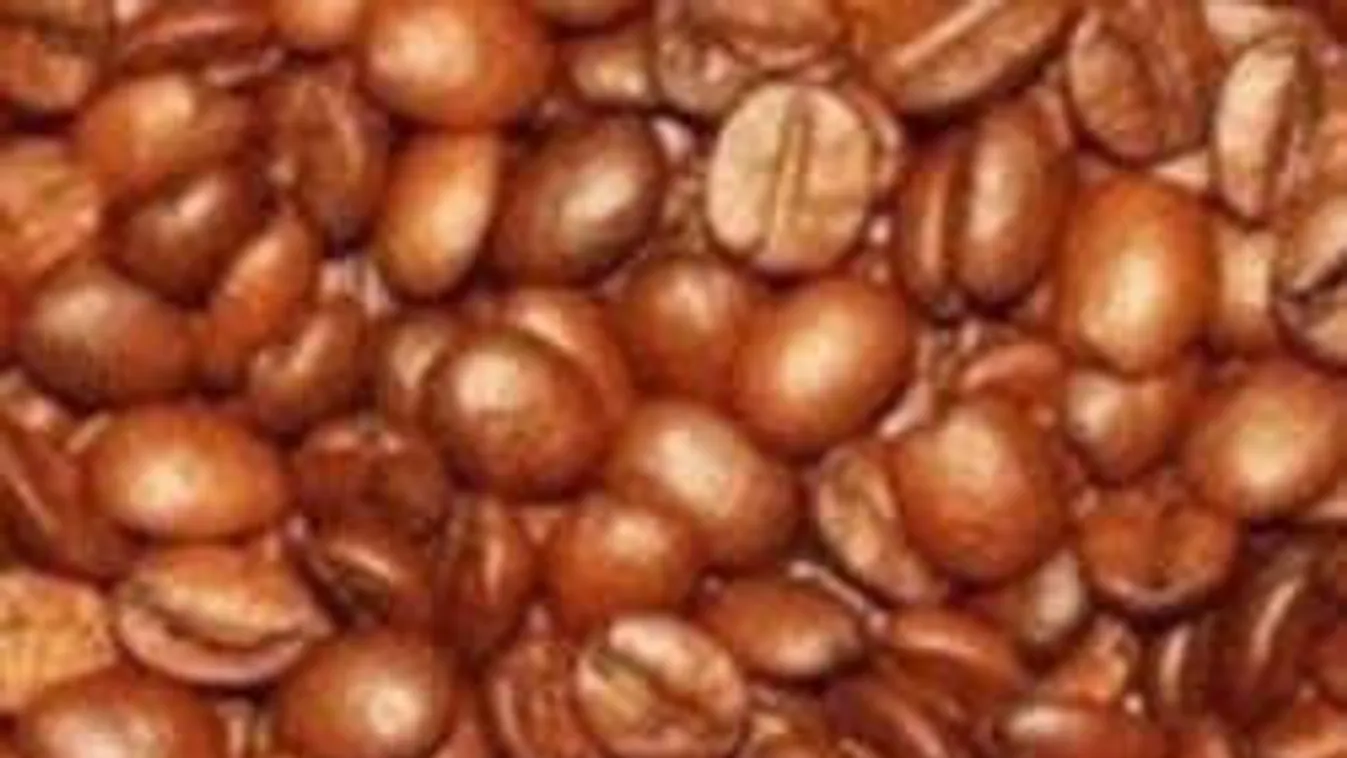 Három katica, három baba - megtalálod?