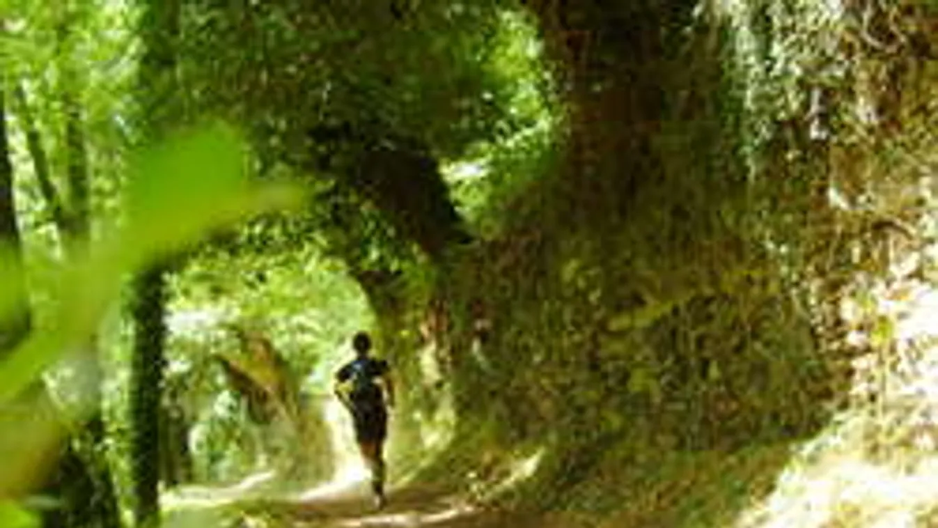 Péniszét lengetve üldözte a szatír Óbudán a túrázót