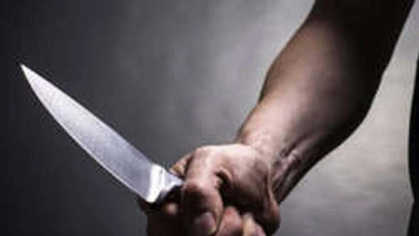 Kényszergyógykezelés vár a NAV-ellenőr gyilkosára