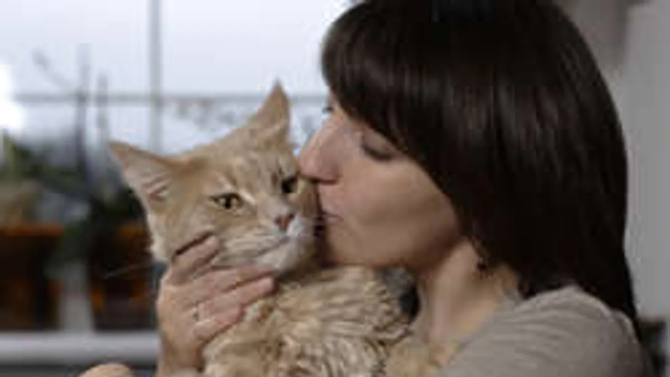 A macskád ölelgetése az életedbe kerülhet