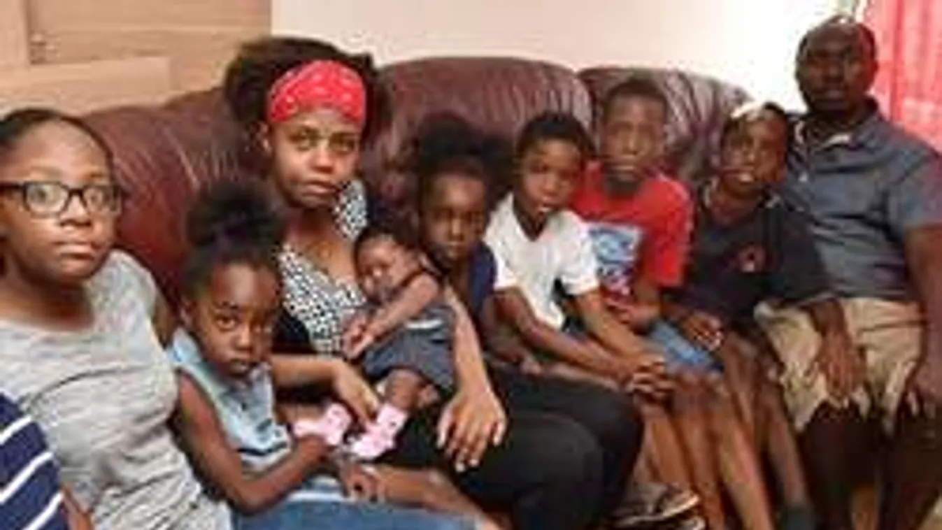 Arabtanulásra biztatja a németeket egyik politikusuk