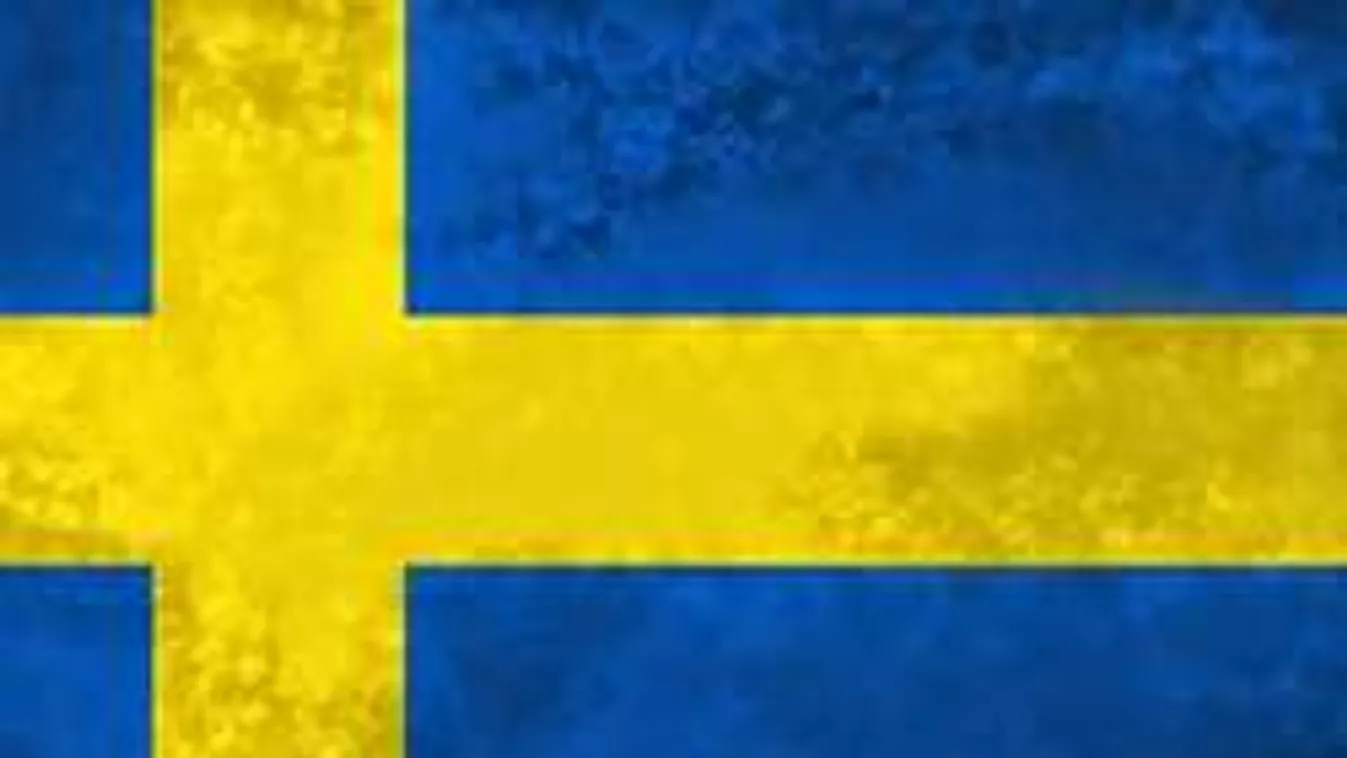 Megbuggyantak: az Iszlám Állam embereinek adna támogatást Svédország