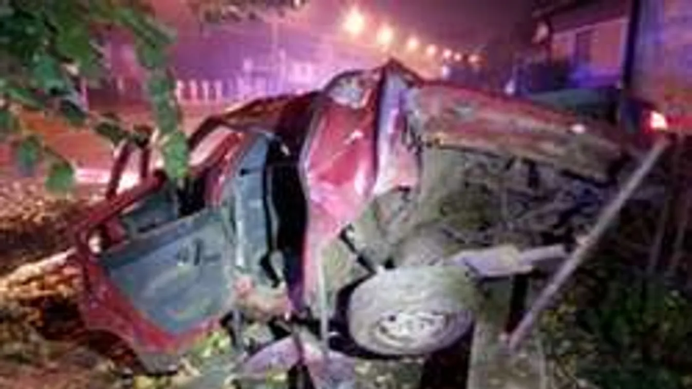 Otthagyta halott testvérét az út szélén a somogyi férfi