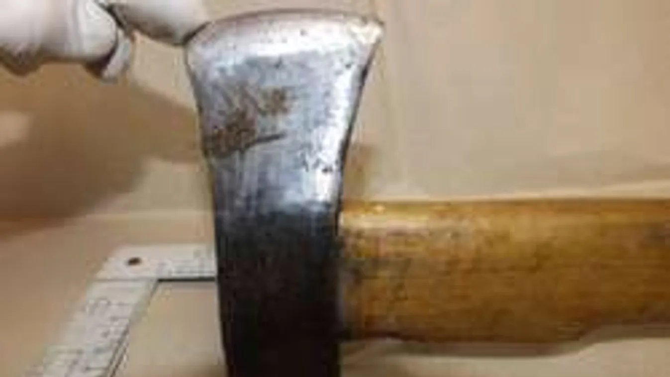 Baltával súljtott le alvó testvérére a hajdú-bihari férfi