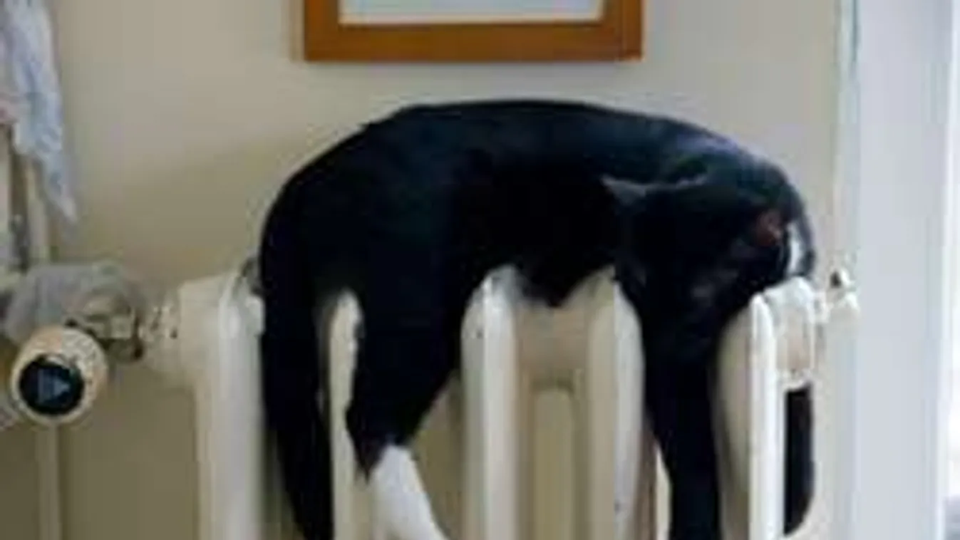 Brutális összegeket spórolhatsz, ha így készíted fel a lakásod a télre