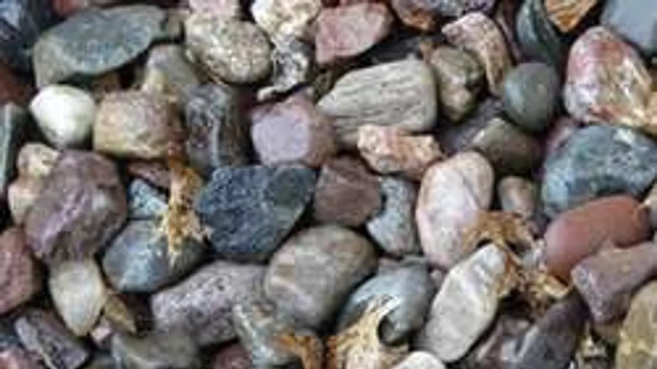 Teszt: egy állat lapul a kövek közt! De milyen?