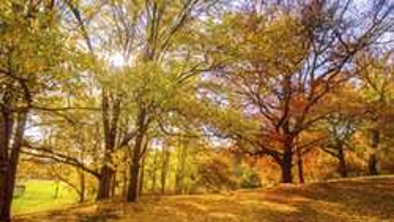 Azt hiszed, tudtad, miért vénasszonyok nyara?